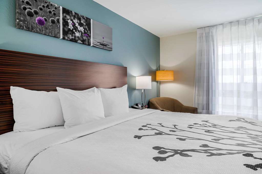 Sleep Inn & Suites Near Westchase Houston Rum bild