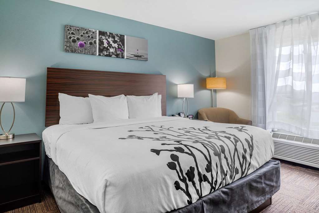 Sleep Inn & Suites Near Westchase Houston Rum bild