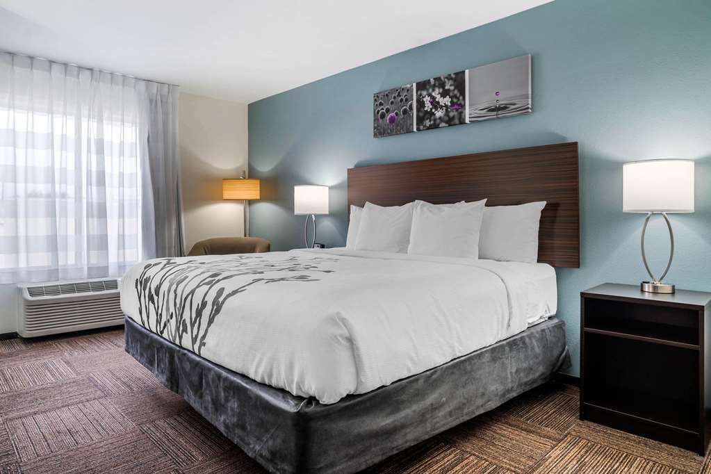 Sleep Inn & Suites Near Westchase Houston Rum bild